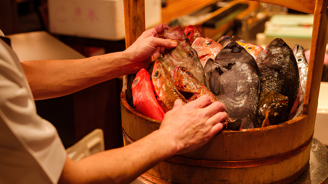 うおや 魚や海虎のご予約 - 関内/居酒屋 | 食べログ