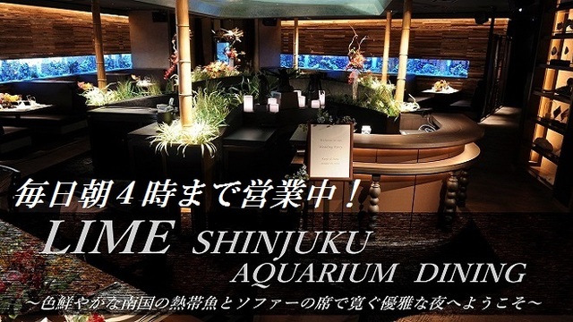 アクアリウムダイニング 新宿ライム 新宿 ダイニングバー ネット予約可 食べログ アクアリウムダイニング 新宿ライム 新宿 ダイニングバー ネット予約可 食べログ