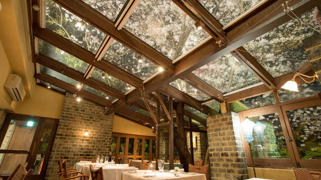 ラ テラス La Terrasse 近鉄奈良 フレンチ ネット予約可 食べログ ラ テラス La Terrasse 近鉄奈良 フレンチ ネット予約可 食べログ