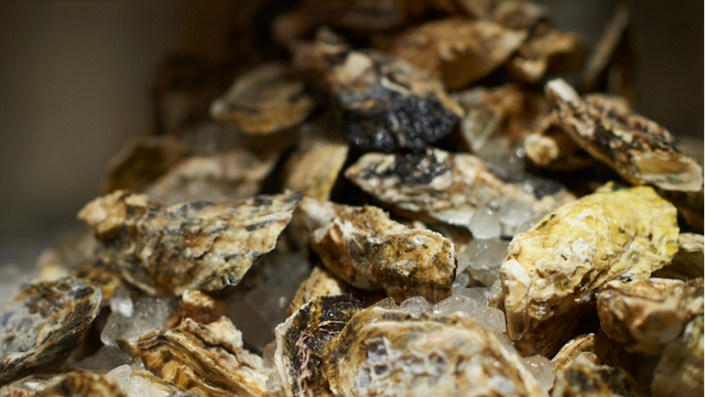 オイスタールーム 梅田ハービスエント店 西梅田 オイスターバー ネット予約可 食べログ