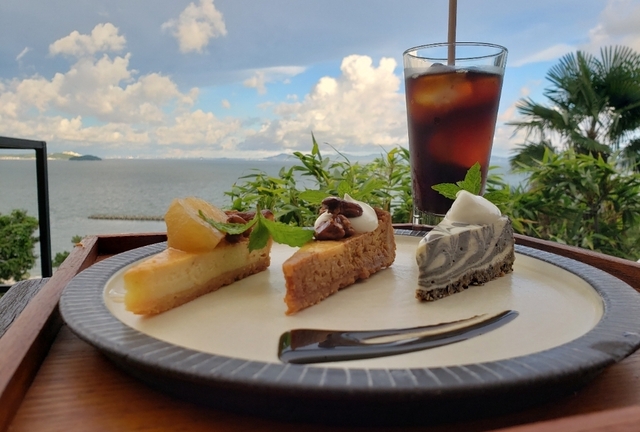 chanエミさま専用】TO-Ⅱ＋ビューティードリンク [33本] ベトナムの