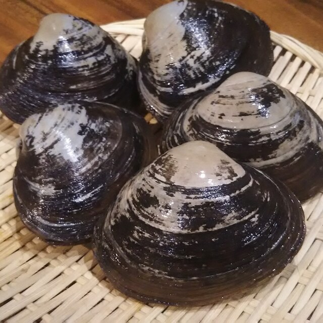 囲炉裏酒場北ご馳 - 新富士(居酒屋)の写真(食べログが提供するog:image)