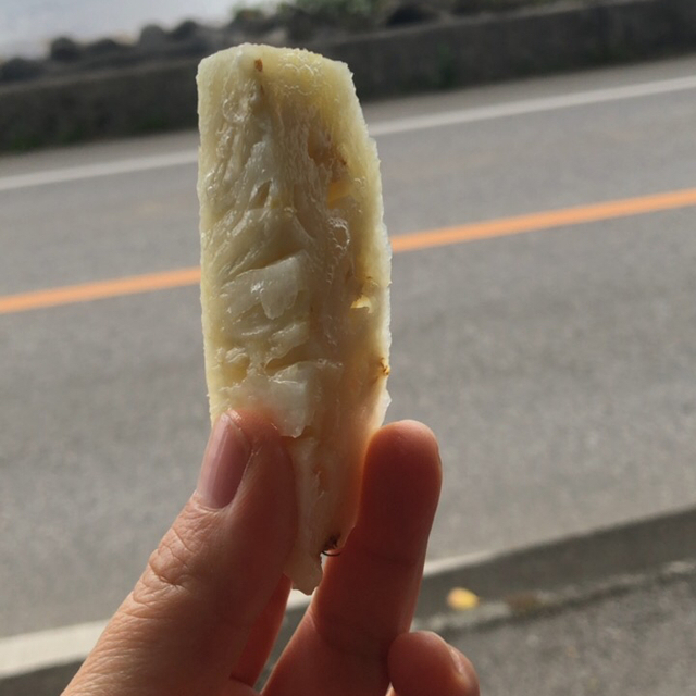 石垣観光パイン園 石垣市 フルーツパーラー 食べログ