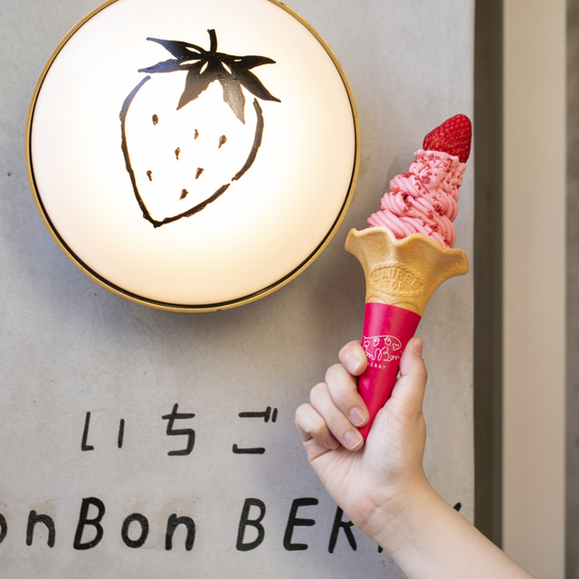 いちごBonBonBERRY ATAMI HOUSE.(イチゴボンボンベリーアタミハウス) )~イメージ画像1~