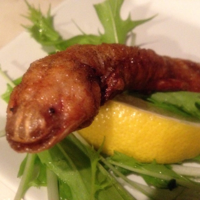 料理メニュー 珍獣屋 渋谷店 神泉 その他 食べログ