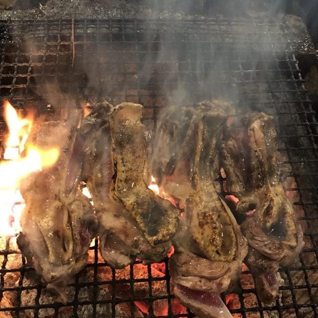 地鶏亭（じどりてい） - 澄川（鳥料理）の写真（食べログが提供するog:image）