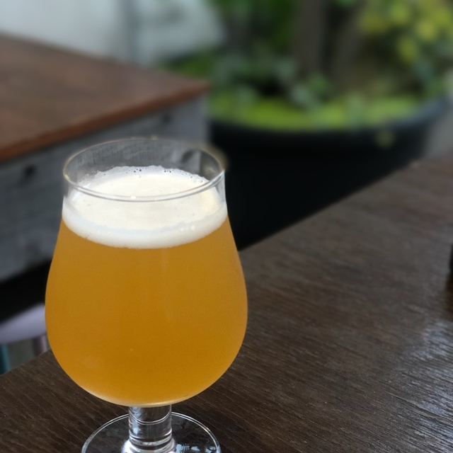 プチガーデン下北沢(PetitGarden) - 下北沢(居酒屋)の写真(食べログが提供するog:image)