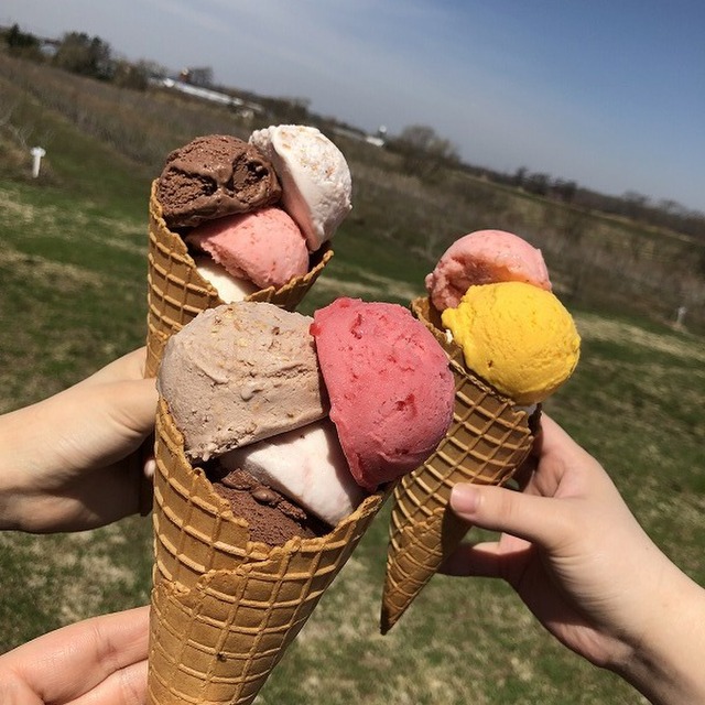 ミルティーロ Mirtillo 長都 アイスクリーム 食べログ