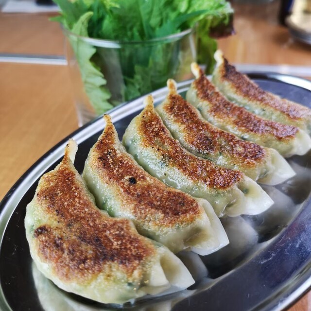 餃子の拳王(【旧店名】餃子の橋下) - 静岡(居酒屋)の写真(食べログが提供するog:image)