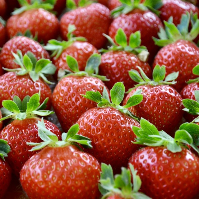 口コミ一覧 軽井沢ガーデンファームいちご園 軽井沢町その他 フルーツパーラー 食べログ