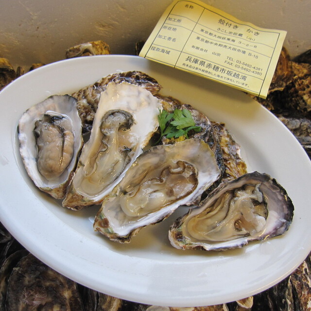 古今東西 - 堀米(洋食)の写真(食べログが提供するog:image)