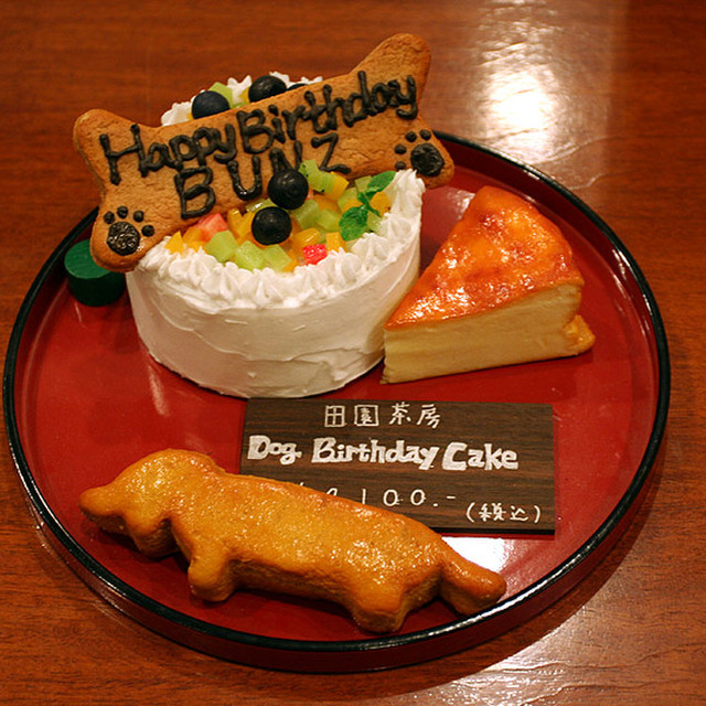 Deco S Dog Cafe 田園茶房 デコズドッグカフェ 田園調布 その他 食べログ