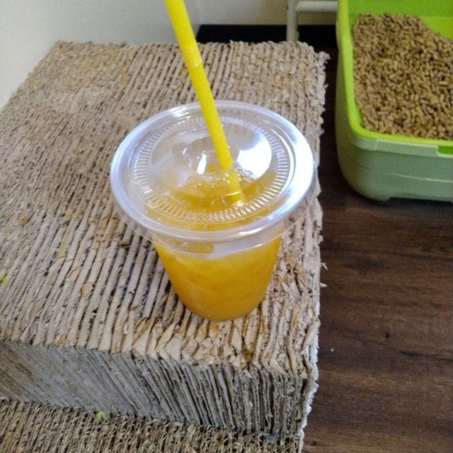 保護猫カフェ ネコタマ 保護猫カフェ Neko Tama 末野原 その他 食べログ 保護猫カフェ ネコタマ 保護猫カフェ Neko Tama 末野原 その他 食べログ