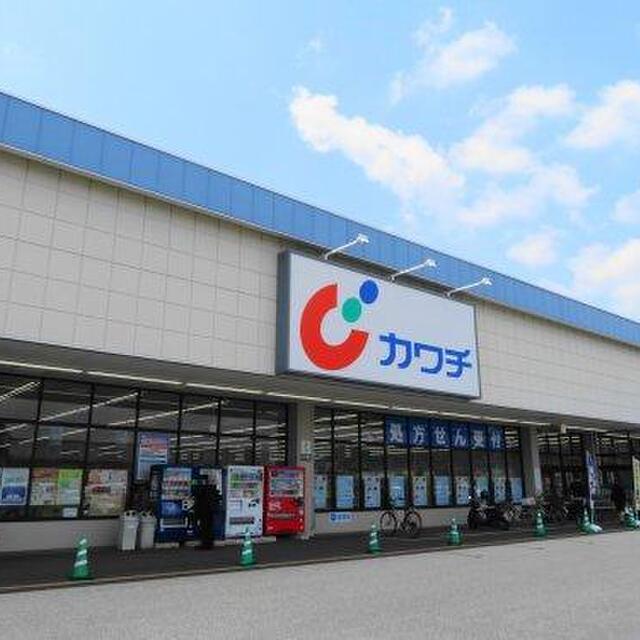 カワチ薬品 石下店 南石下 その他 食べログ