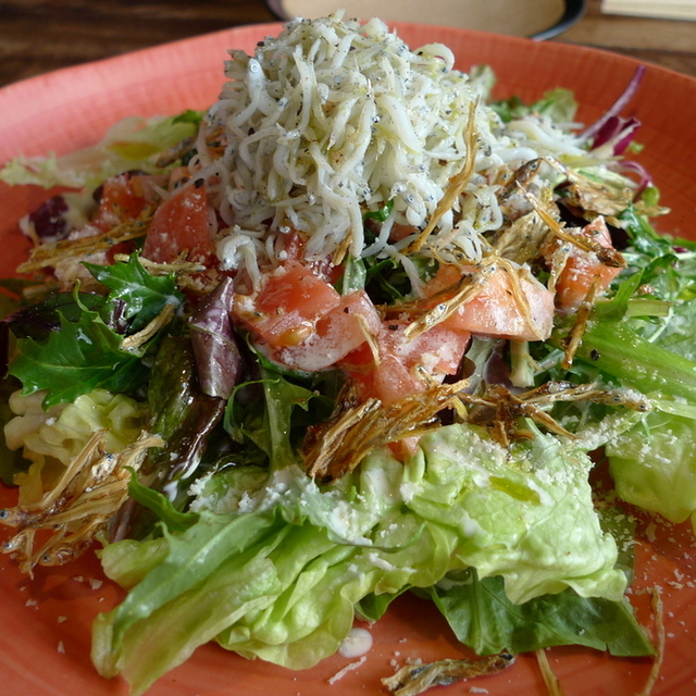 しらすや 腰越漁港前店 - 腰越（魚介料理・海鮮料理）の写真（食べログが提供するog:image）