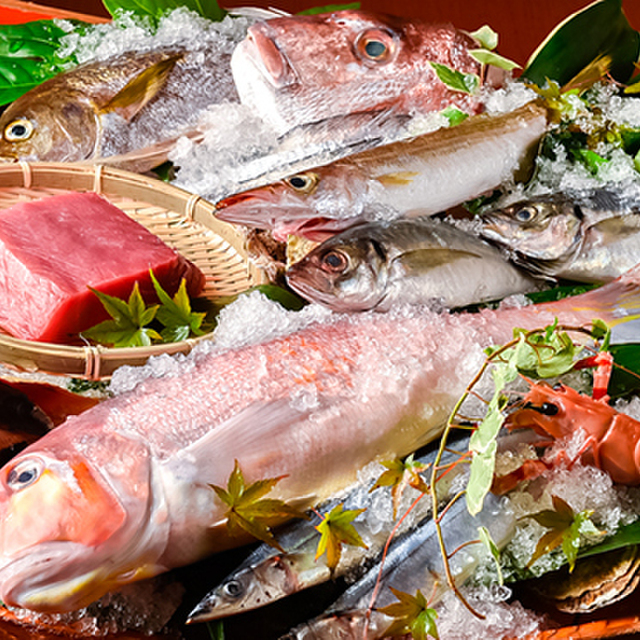 魚人 さかなびと 西鉄久留米 魚介料理 海鮮料理 食べログ