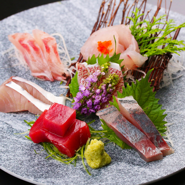 地魚と自然薯料理 海山 - 二宮（魚介料理・海鮮料理）の写真（食べログが提供するog:image）