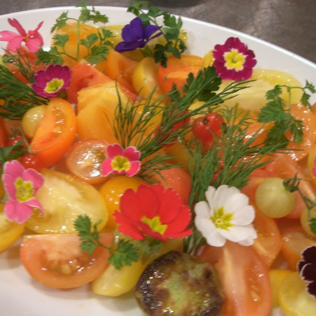 ビストロ クロシェット Bistro Clochette 元住吉 フレンチ 食べログ