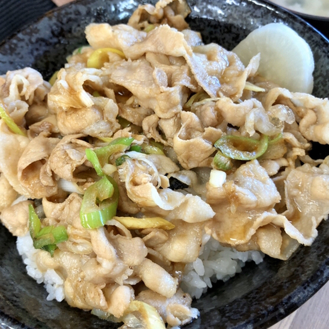 伝説のすた丼屋 西大宮店 デンセツノスタドンヤ 西大宮 豚丼 食べログ