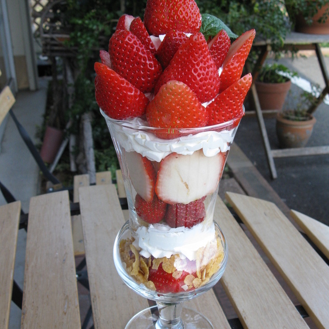 アオイ農園 ぶどうの木 北信太 パフェ 食べログ