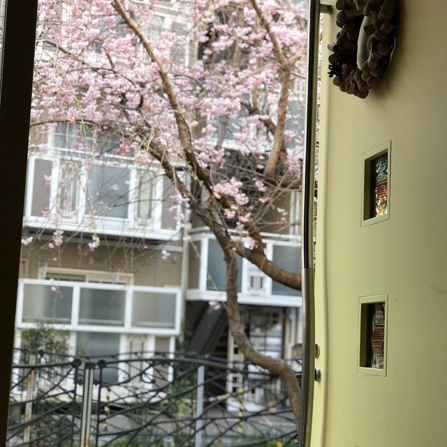周辺のお店を探す 石窯イタリアン Don Carnemo 溝の口 ドン カルネーモ 溝の口 イタリアン 食べログ 周辺のお店を探す 石窯イタリアン Don Carnemo 溝の口 ドン カルネーモ 溝の口 イタリアン 食べログ
