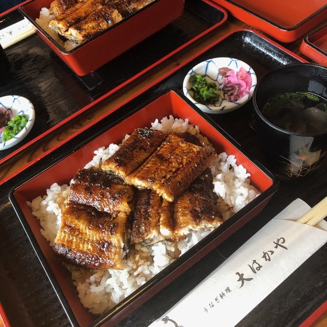 大はかや おおはかや 松江イングリッシュガーデン前 うなぎ 食べログ