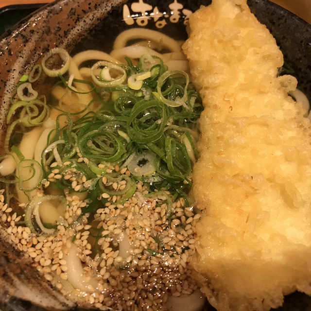 閉店 はなまるうどん 大阪日本橋店 日本橋 うどん 食べログ 閉店 はなまるうどん 大阪日本橋店 日本橋 うどん 食べログ