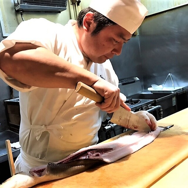 ハガツオの基本知識 レシピ 旬な時期 釣り方 さばき方を解説 釣りラボマガジン
