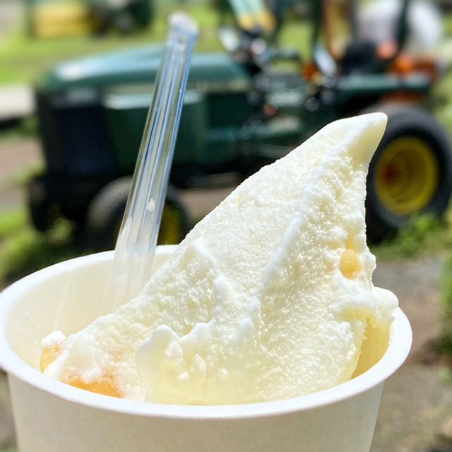 服部牧場アイスクリーム工房 カサリンガ 愛川町その他 アイスクリーム 食べログ