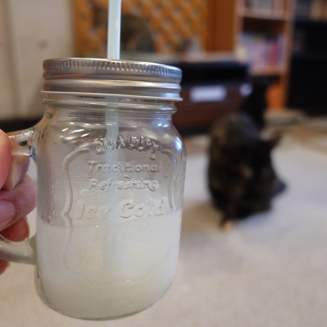 ねこカフェ にゃおん 伊豆高原 その他 食べログ ねこカフェ にゃおん 伊豆高原 その他 食べログ