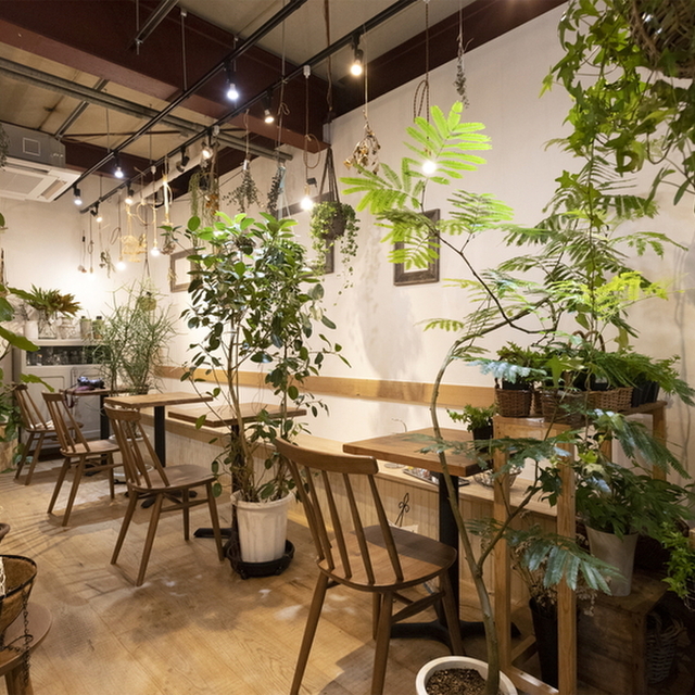 Cafe Green Ronron 二子玉川 カフェ 食べログ
