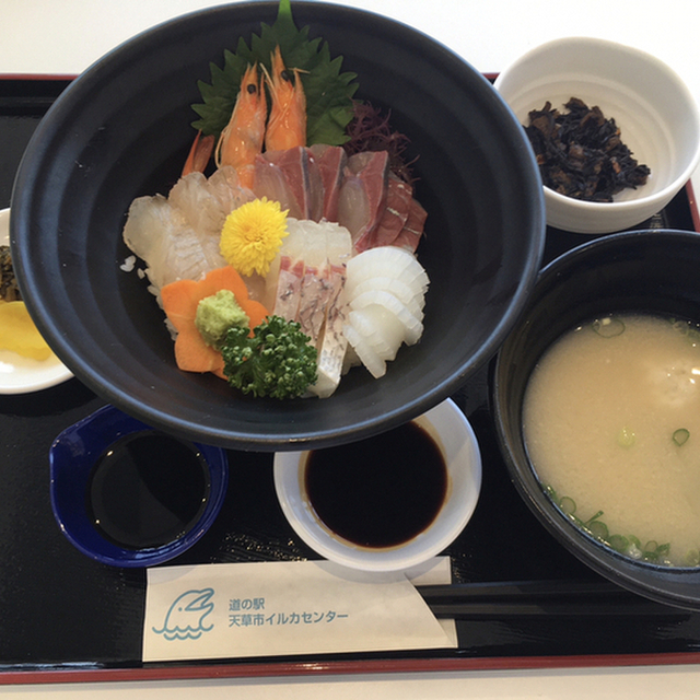 口コミ一覧 道の駅 天草市 イルカセンター 五和町その他 その他 食べログ