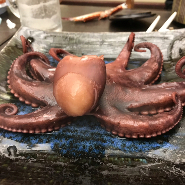 口コミ一覧 すず屋海游亭 南知多町その他 旅館 食べログ 口コミ一覧 すず屋海游亭 南知多町その他 旅館 食べログ