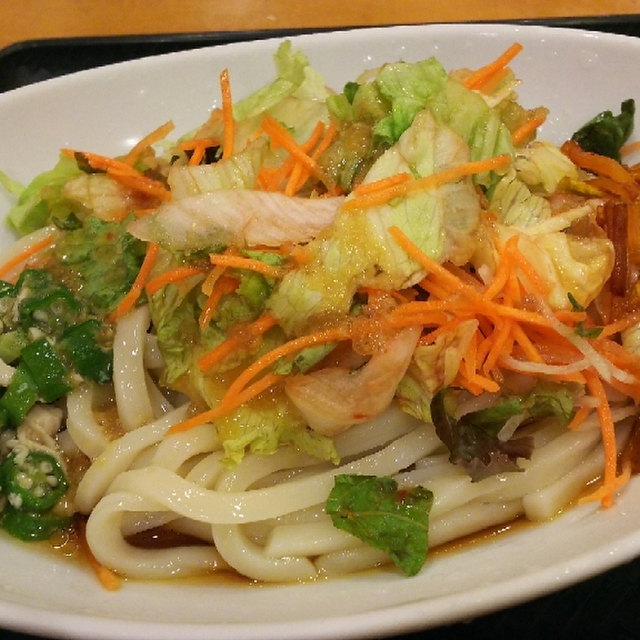 閉店 はなまるうどん 静岡駅南店 静岡 うどん 食べログ 閉店 はなまるうどん 静岡駅南店 静岡 うどん 食べログ