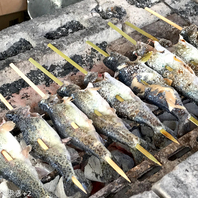 フィッシングエリア やま里 - 小淵沢(その他)の写真(食べログが提供するog:image)