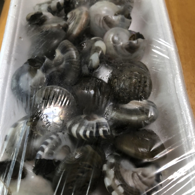 石井丸 海鹿島 魚介料理 海鮮料理 食べログ 石井丸 海鹿島 魚介料理 海鮮料理 食べログ