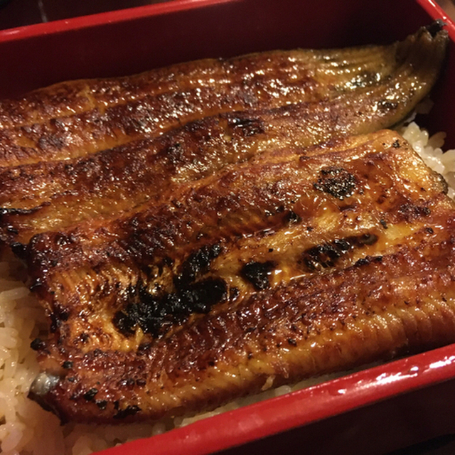 閉店 ふな与 大泉学園 うなぎ 食べログ 閉店 ふな与 大泉学園 うなぎ 食べログ