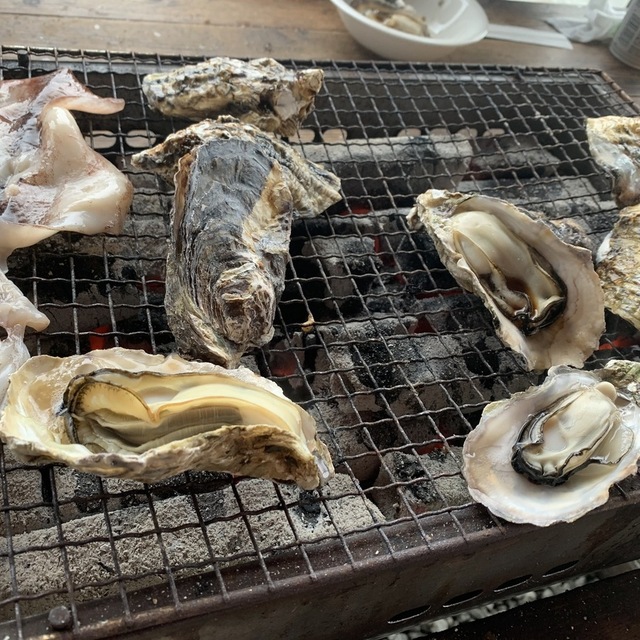 焼がき 大豊 相生市その他 炭火焼き 食べログ 焼がき 大豊 相生市その他 炭火焼き 食べログ