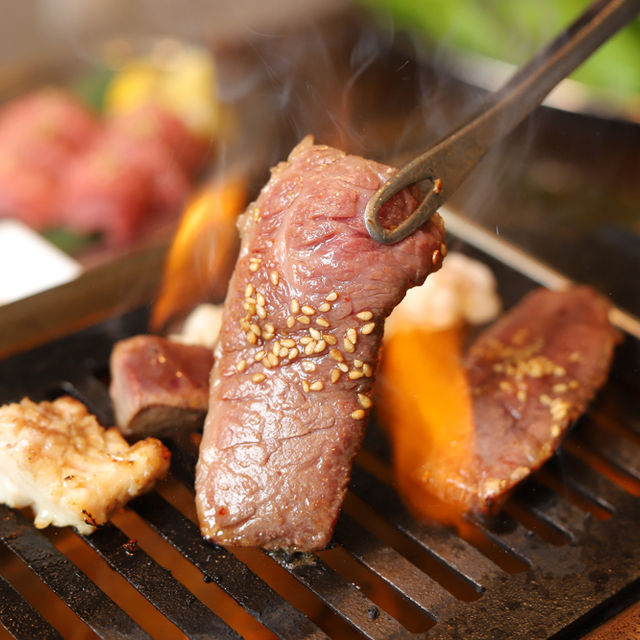 焼肉ホルモンだるま 広尾本店 広尾 焼肉 ネット予約可 食べログ 焼肉ホルモンだるま 広尾本店 広尾 焼肉 ネット予約可 食べログ