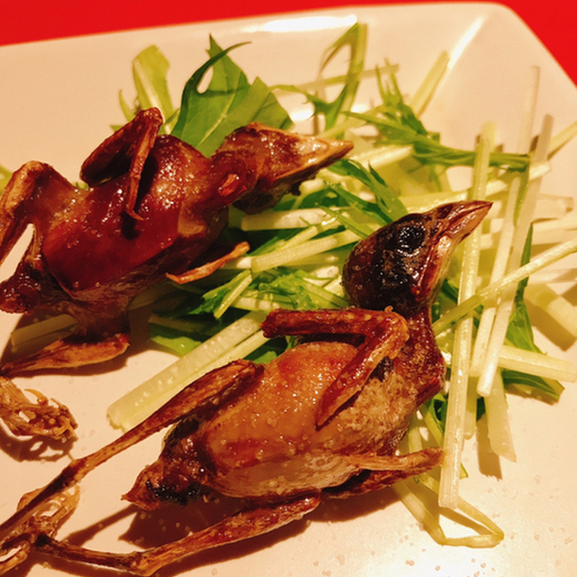 珍獣屋 桜木町 居酒屋 食べログ