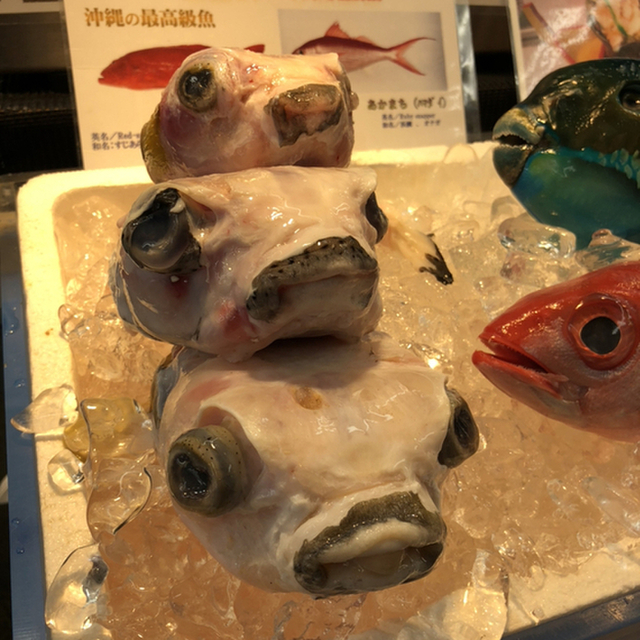 翁長鮮魚 美栄橋 その他 食べログ