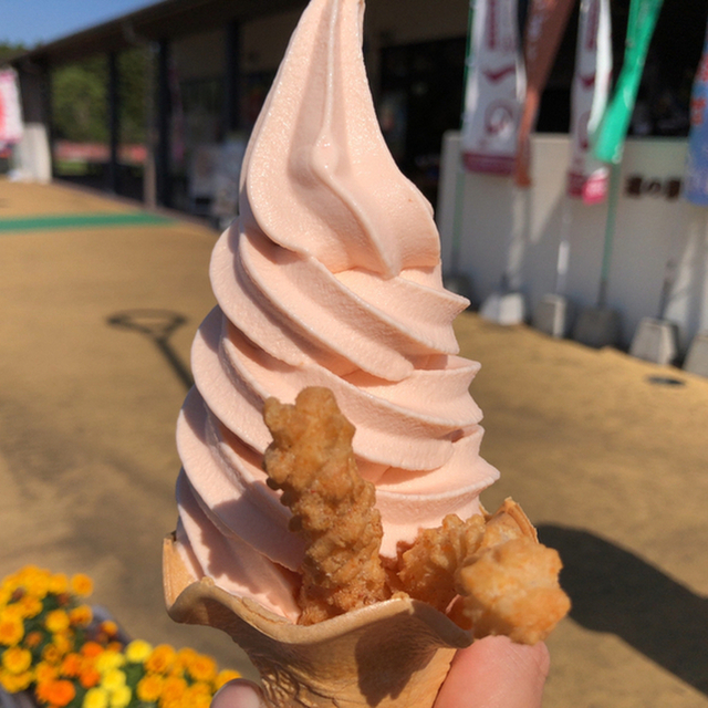 ソフト ドリーム ソフトアンドドリーム 都農 ソフトクリーム 食べログ