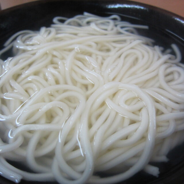 釜揚げうどん 戸隠 本店（とがくし） - 宮崎（うどん）の写真（食べログが提供するog:image）