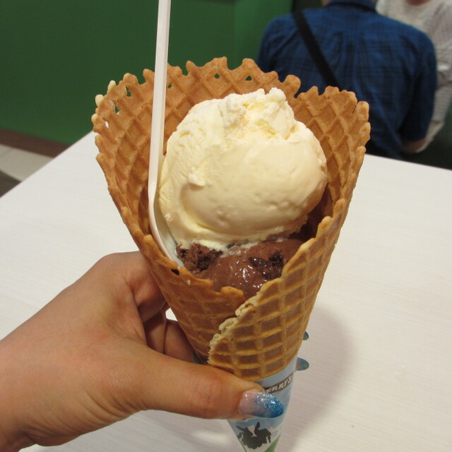 閉店 ベン ジェリーズ 表参道ヒルズ店 Ben Jerry S 表参道 アイスクリーム 食べログ 閉店 ベン ジェリーズ 表参道ヒルズ店 Ben Jerry S 表参道 アイスクリーム 食べログ