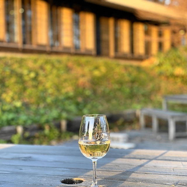 セイズファーム(SAYS FARM) - 氷見(カフェ)の写真(食べログが提供するog:image)