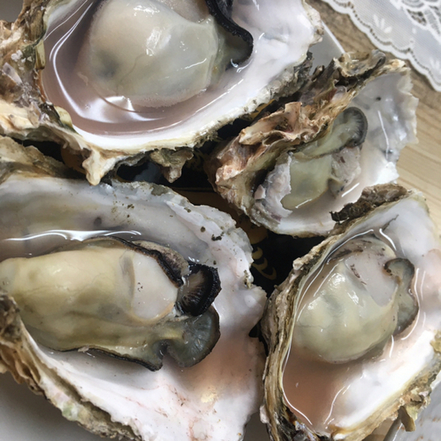 口コミ一覧 みさきさざゑ店 みさきさざえてん 鳥羽 魚介料理 海鮮料理 食べログ 口コミ一覧 みさきさざゑ店 みさきさざえてん 鳥羽 魚介料理 海鮮料理 食べログ