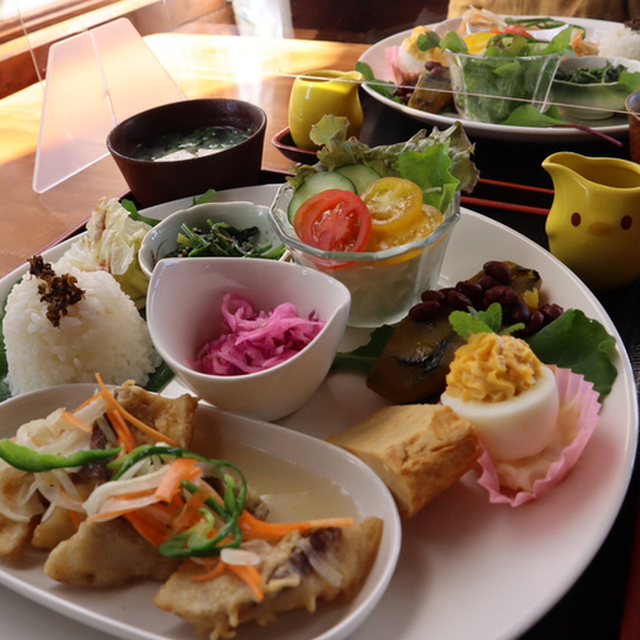 菩提樹 - 日向新富(喫茶店)の写真(食べログが提供するog:image)