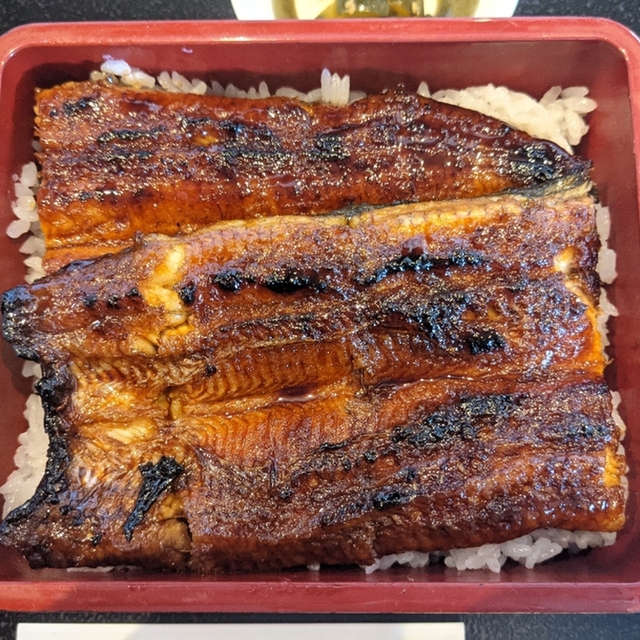 炭焼鰻 はじめ 舞阪 うなぎ 食べログ