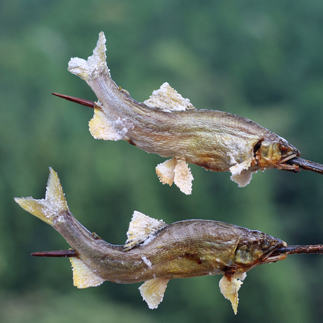 口コミ一覧 道の駅 古今伝授の里 やまと 郡上大和 郷土料理 その他 食べログ