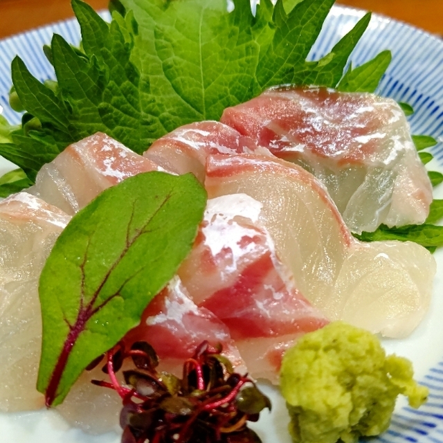 居酒屋 伸 甲子園口 居酒屋 食べログ